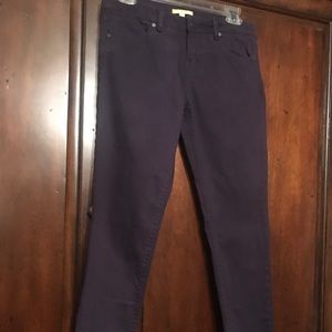 Gianni Bini  Skinny Jeans Size 26 - Eggplant
